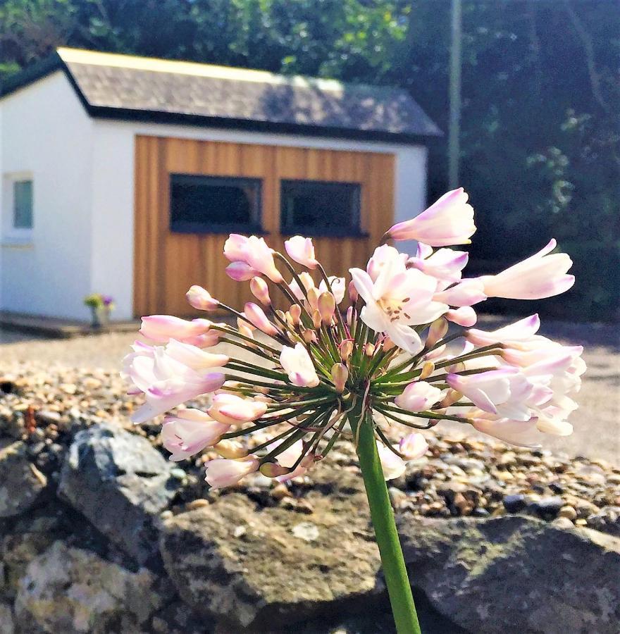 St Awaries Studio, Carne Rosslare Harbour Exterior photo